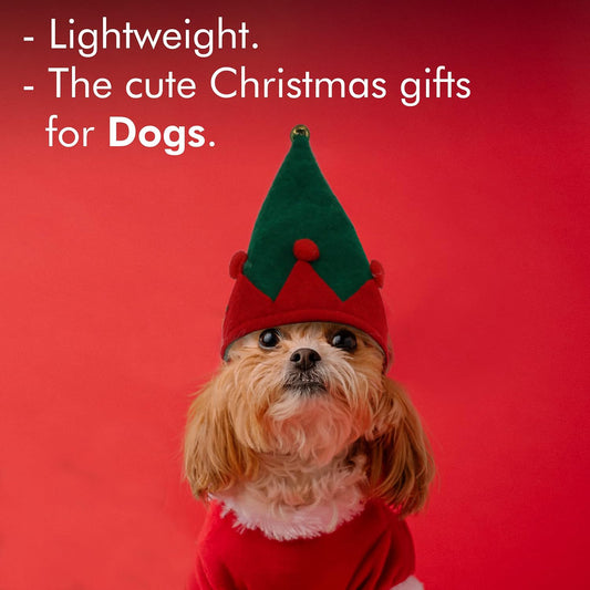 Christmas dog Hat & Collar Set with Bells