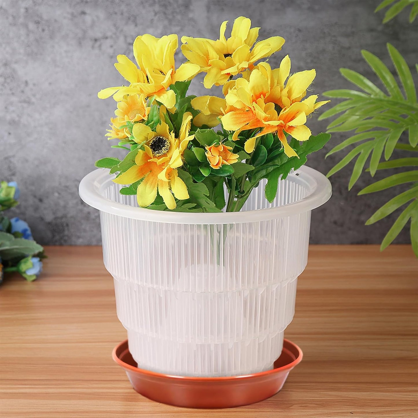 Terracotta Plant Saucers