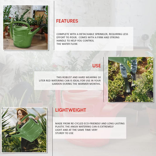 Watering Can With Rose Head Sprinkler