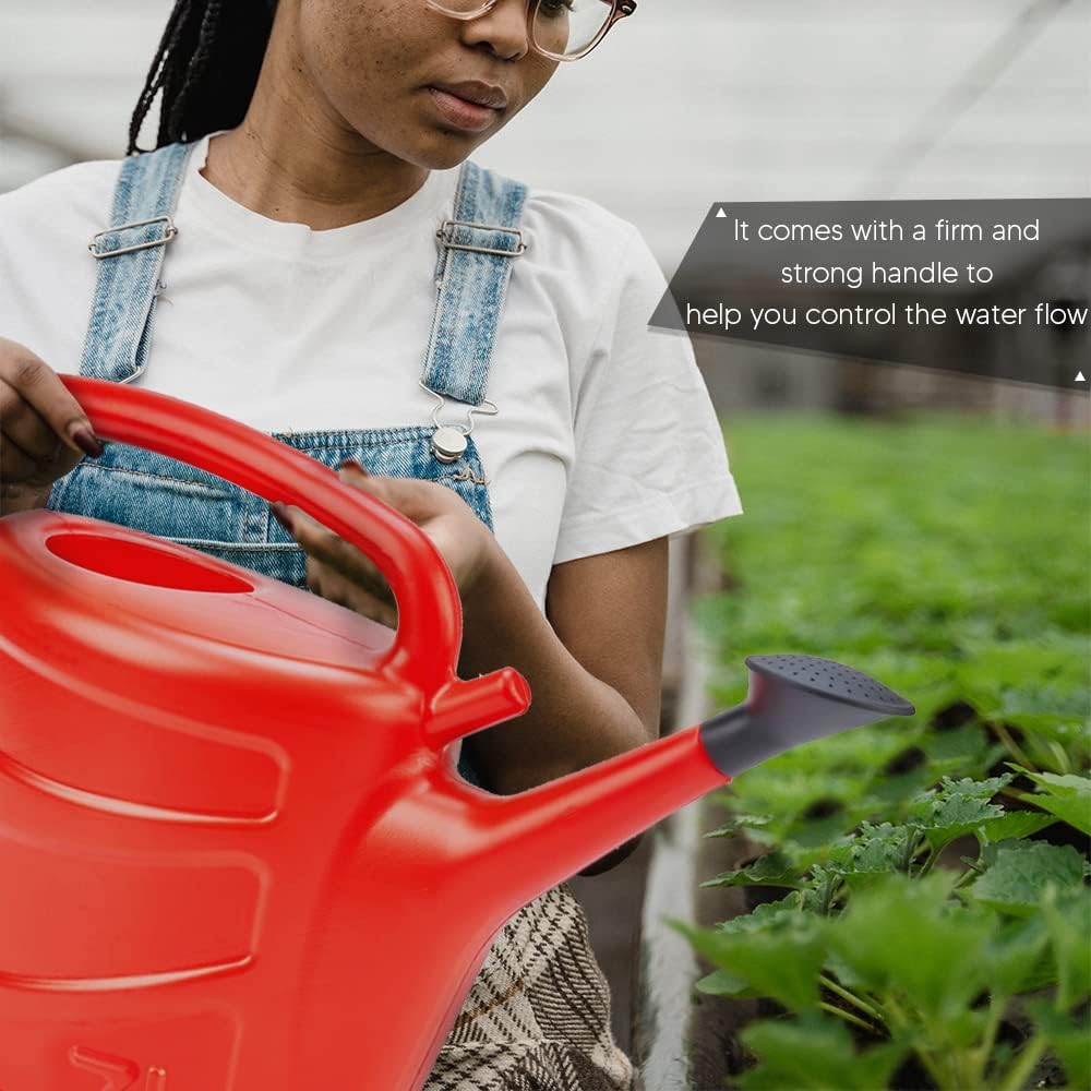 Watering Can with Rose Head