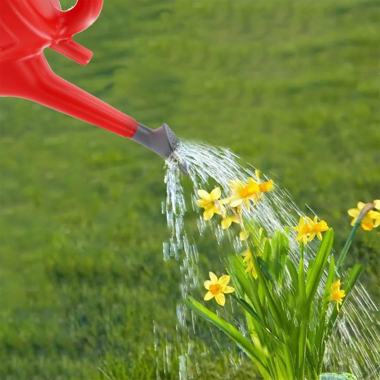 Watering Can with Rose Head