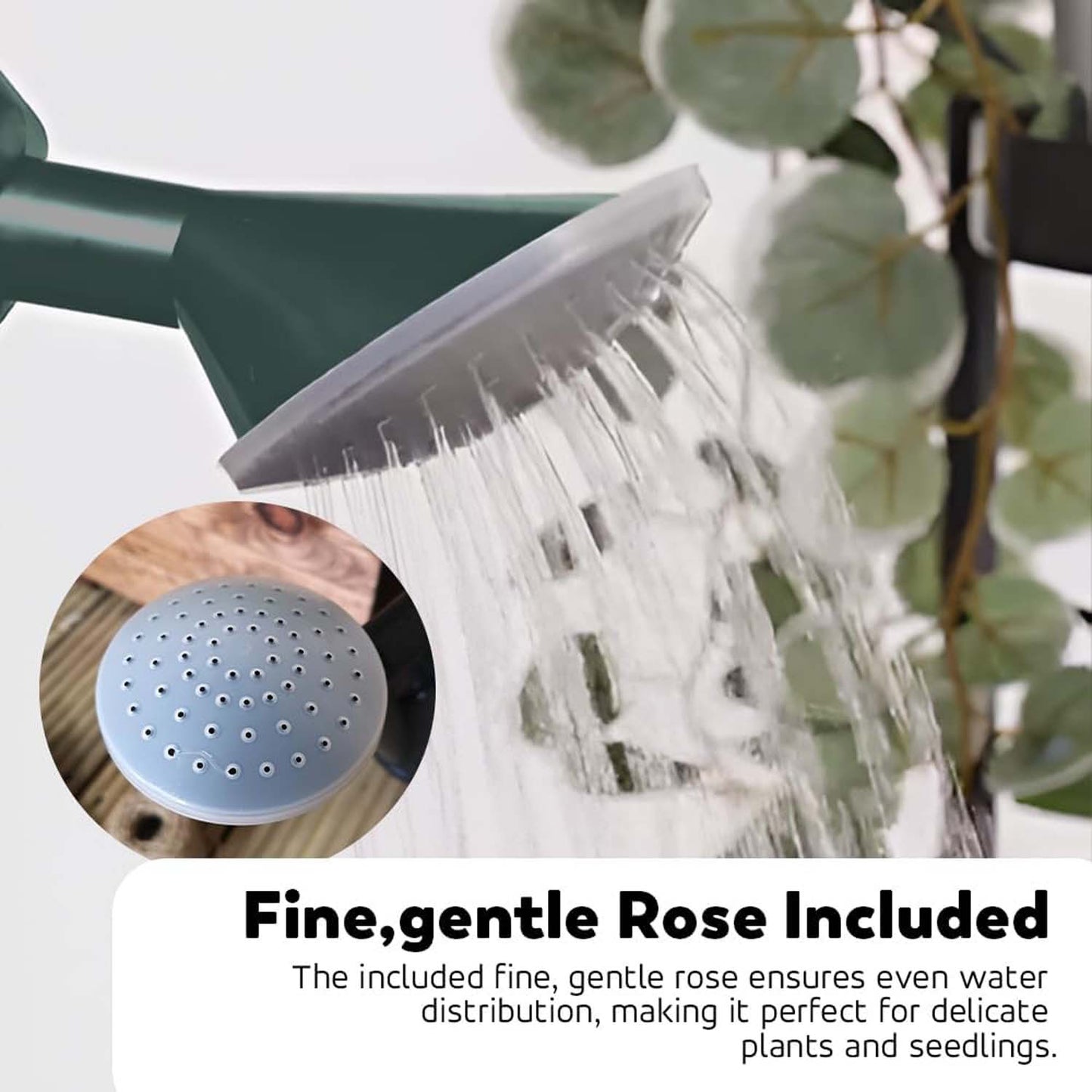 Watering Can 6.5L