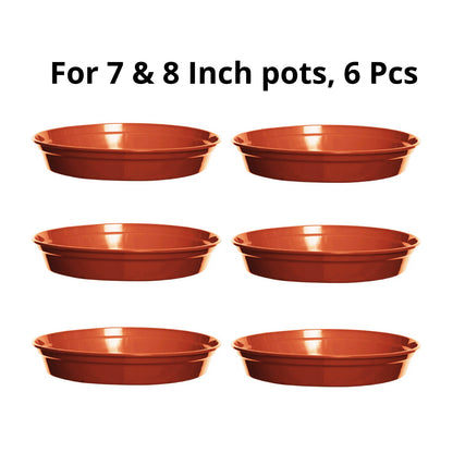 Terracotta Plant Saucers