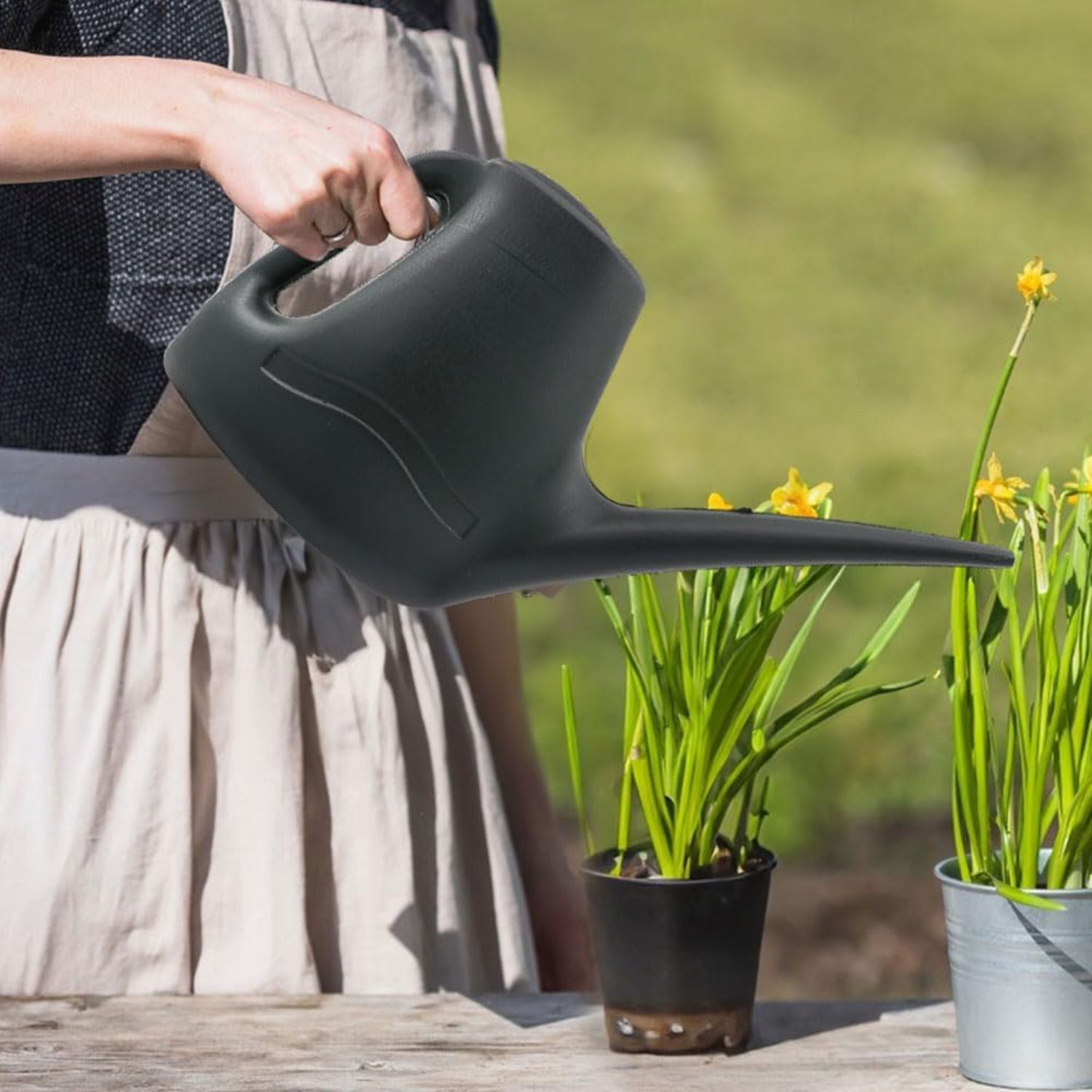 Combo 1L Watering Can Set + 6.5L Capacity, Small Watering Can