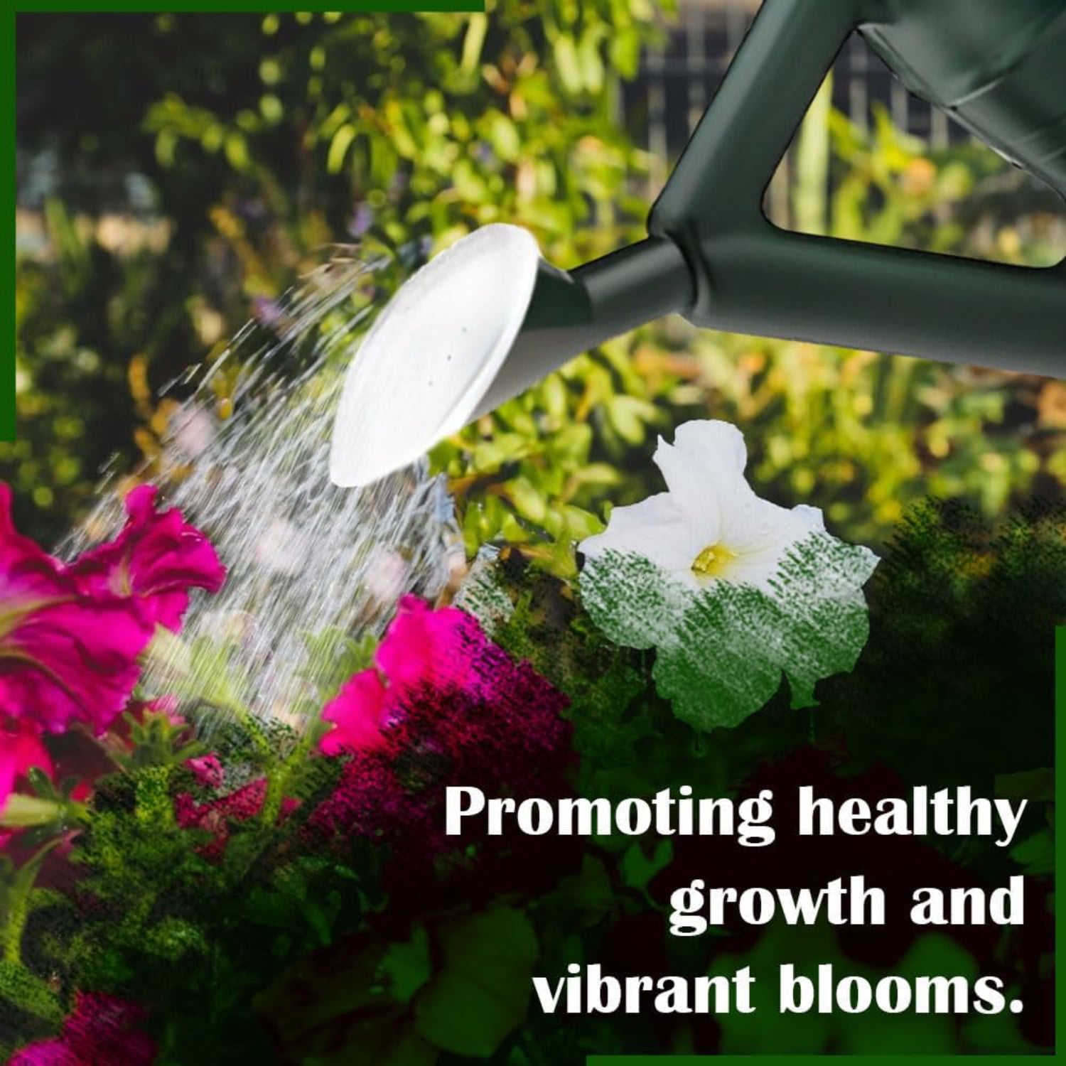 Combo 1L Watering Can Set + 6.5L Capacity, Small Watering Can