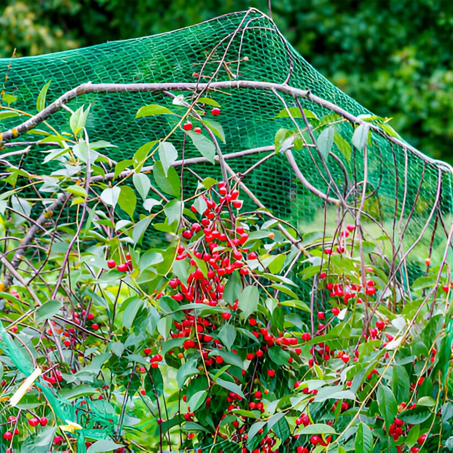 Garden Netting Mesh Fine Heavy Duty