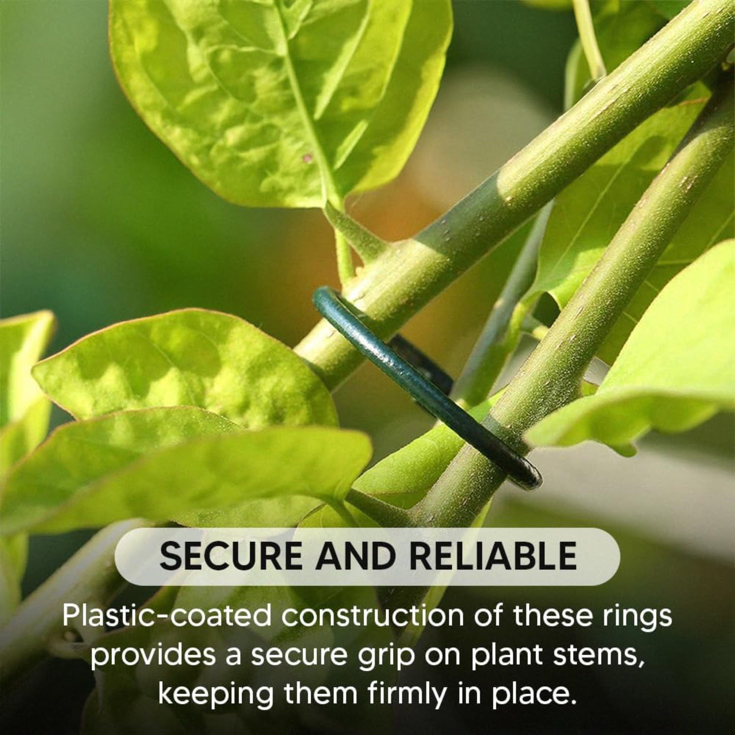 Plastic Coated Green Garden Plants Rings