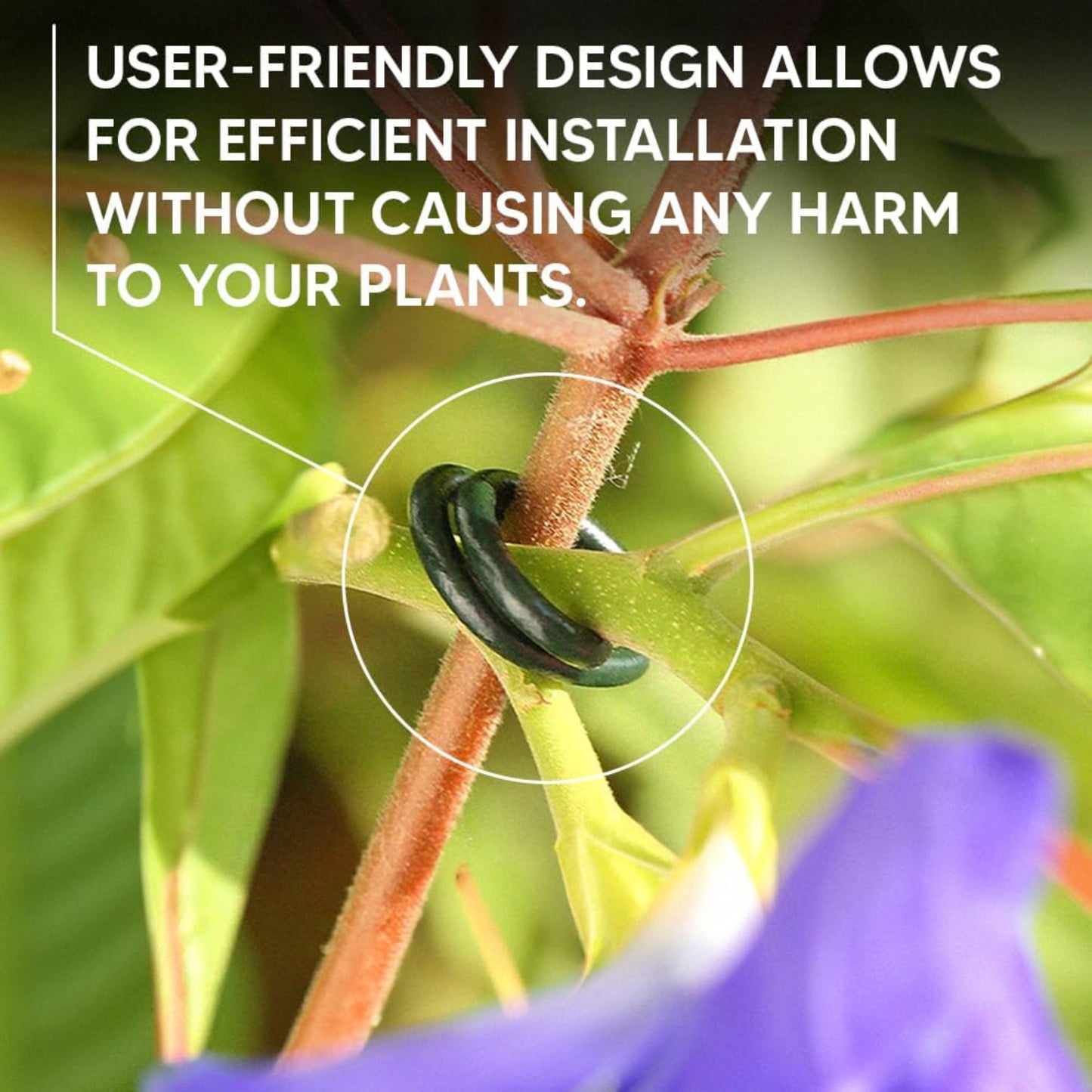 Plastic Coated Green Garden Plants Rings