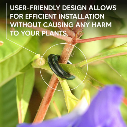 Plastic Coated Green Garden Plants Rings