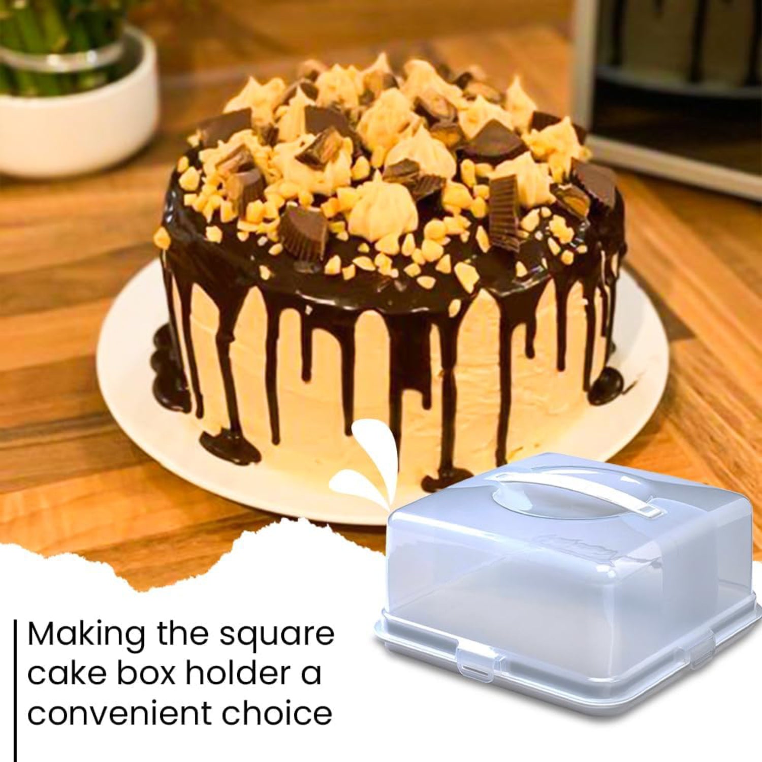 Square Cake Box with Handle