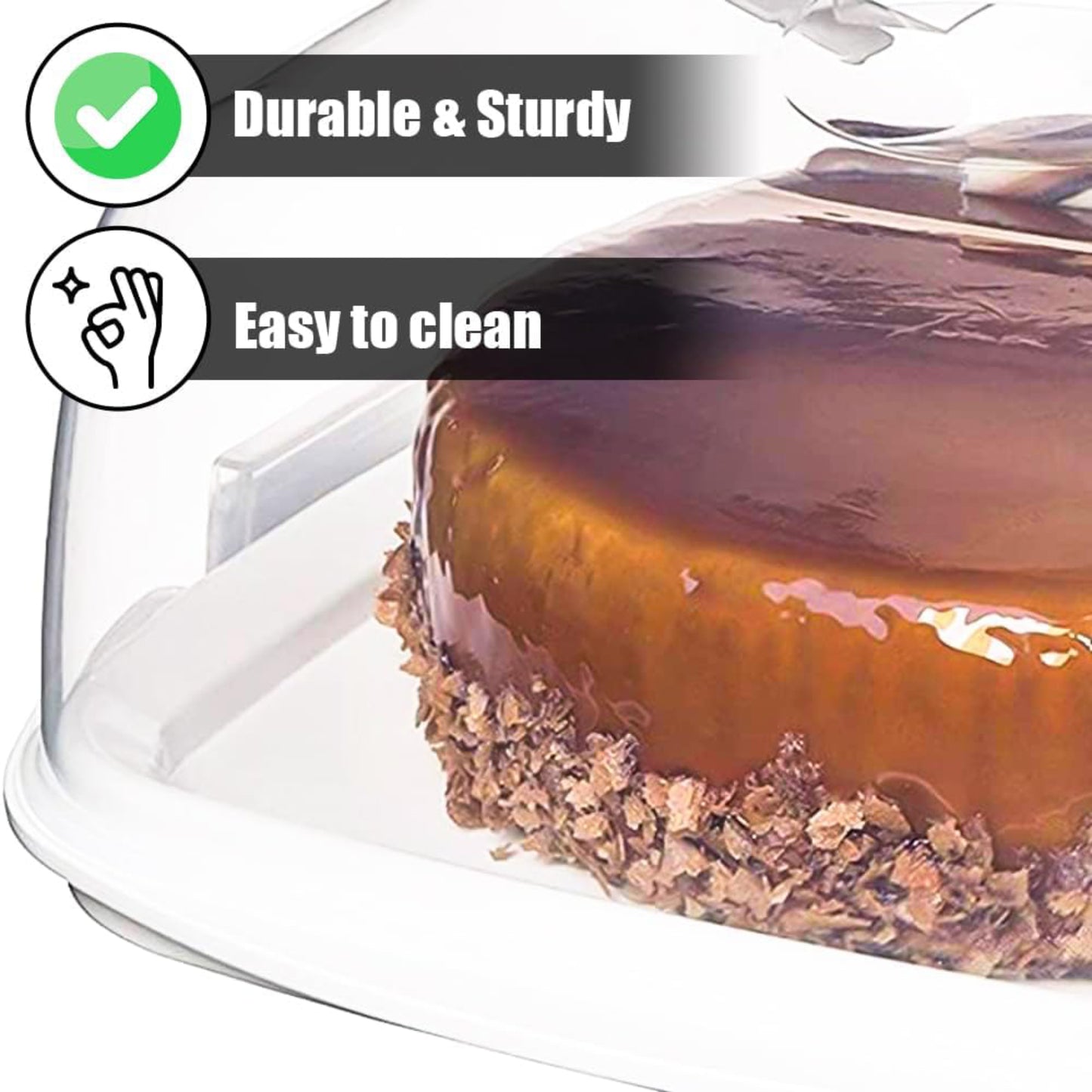 Square Cake Box with Handle