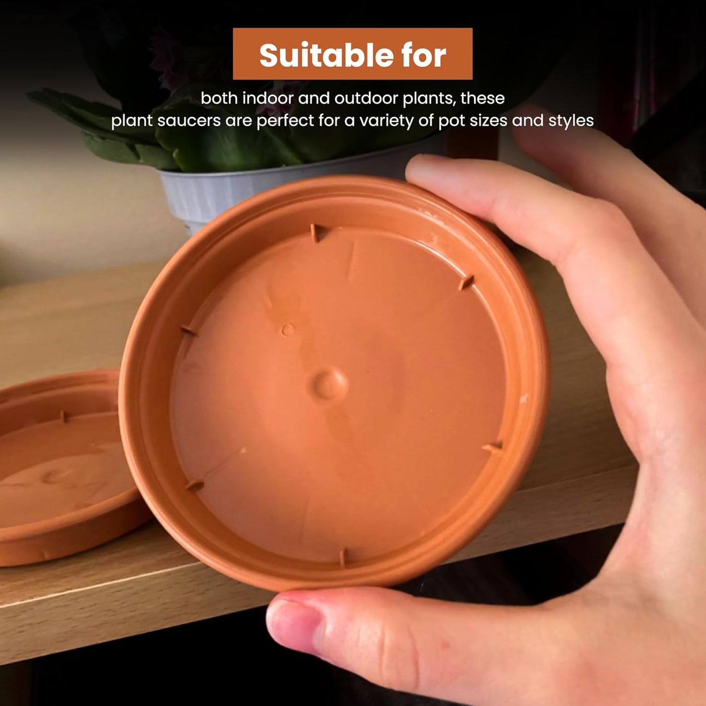 Terracotta Plant Saucers