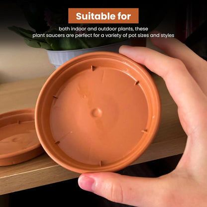 Terracotta Plant Saucers