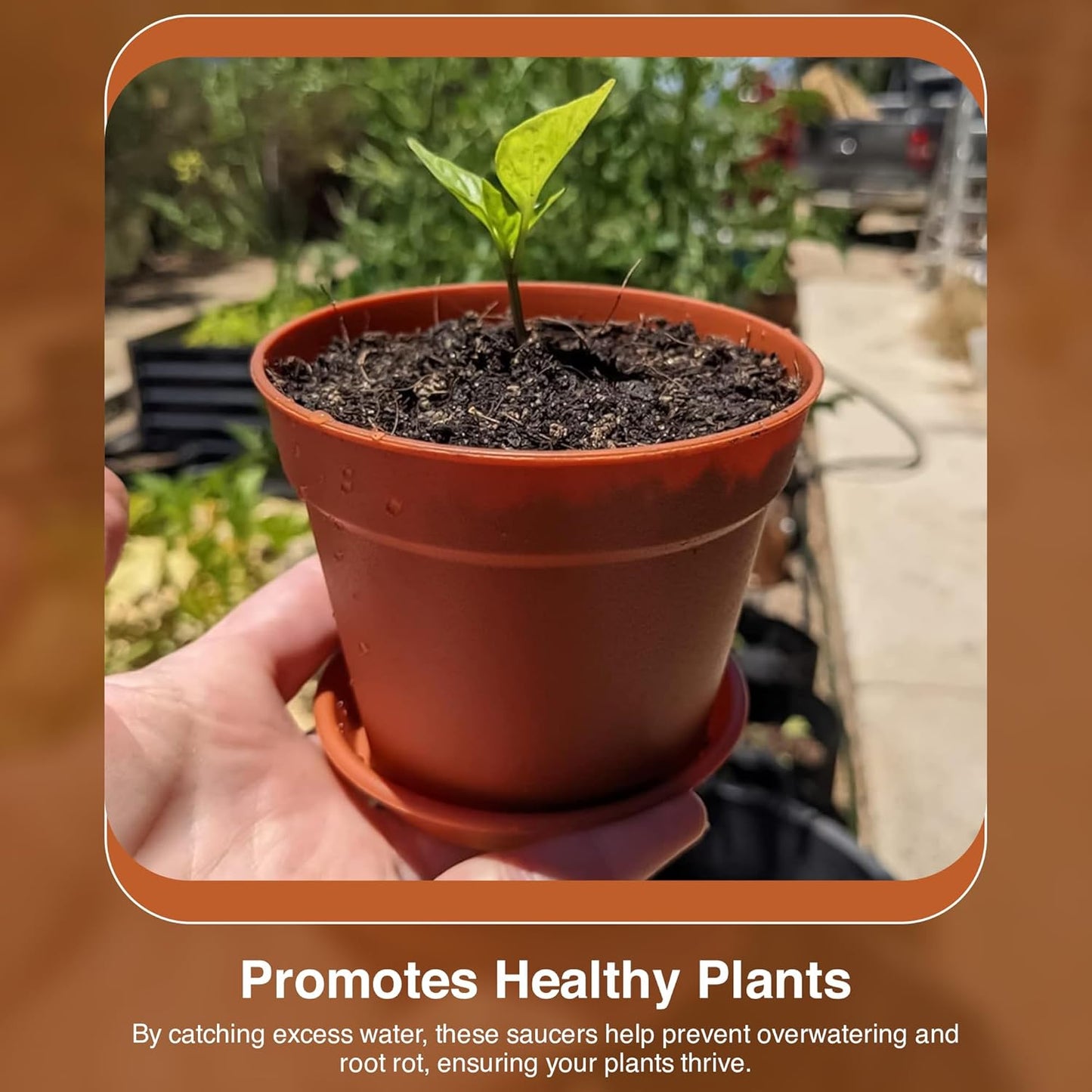 Terracotta Plant Saucers