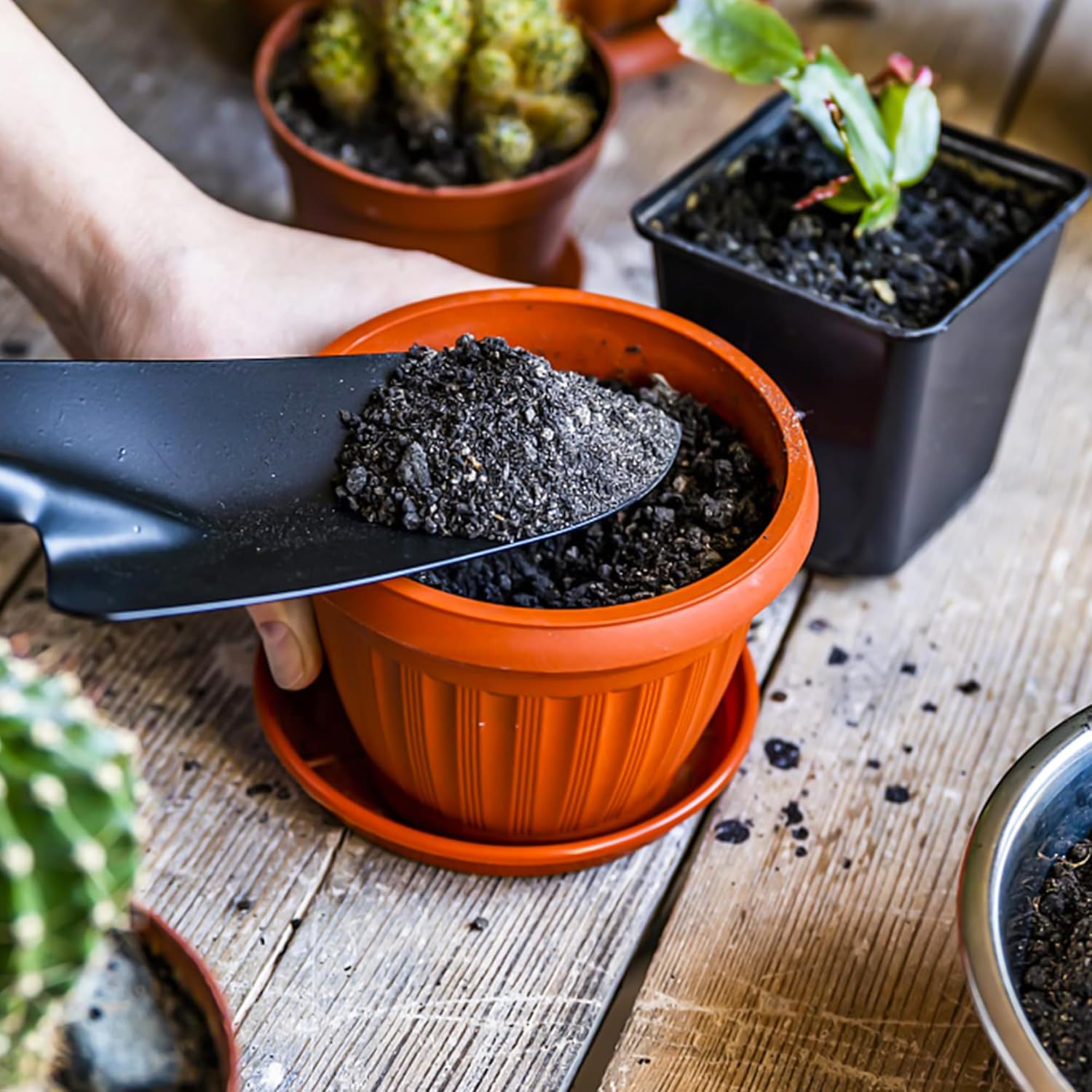 Terracotta Plant Saucers