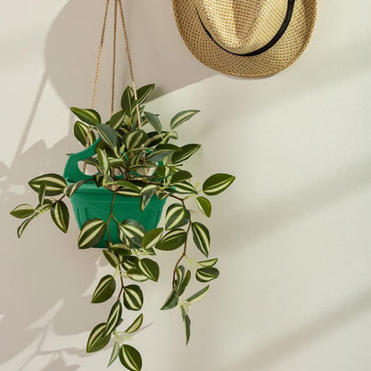 Venetian Wall and Fence Planter