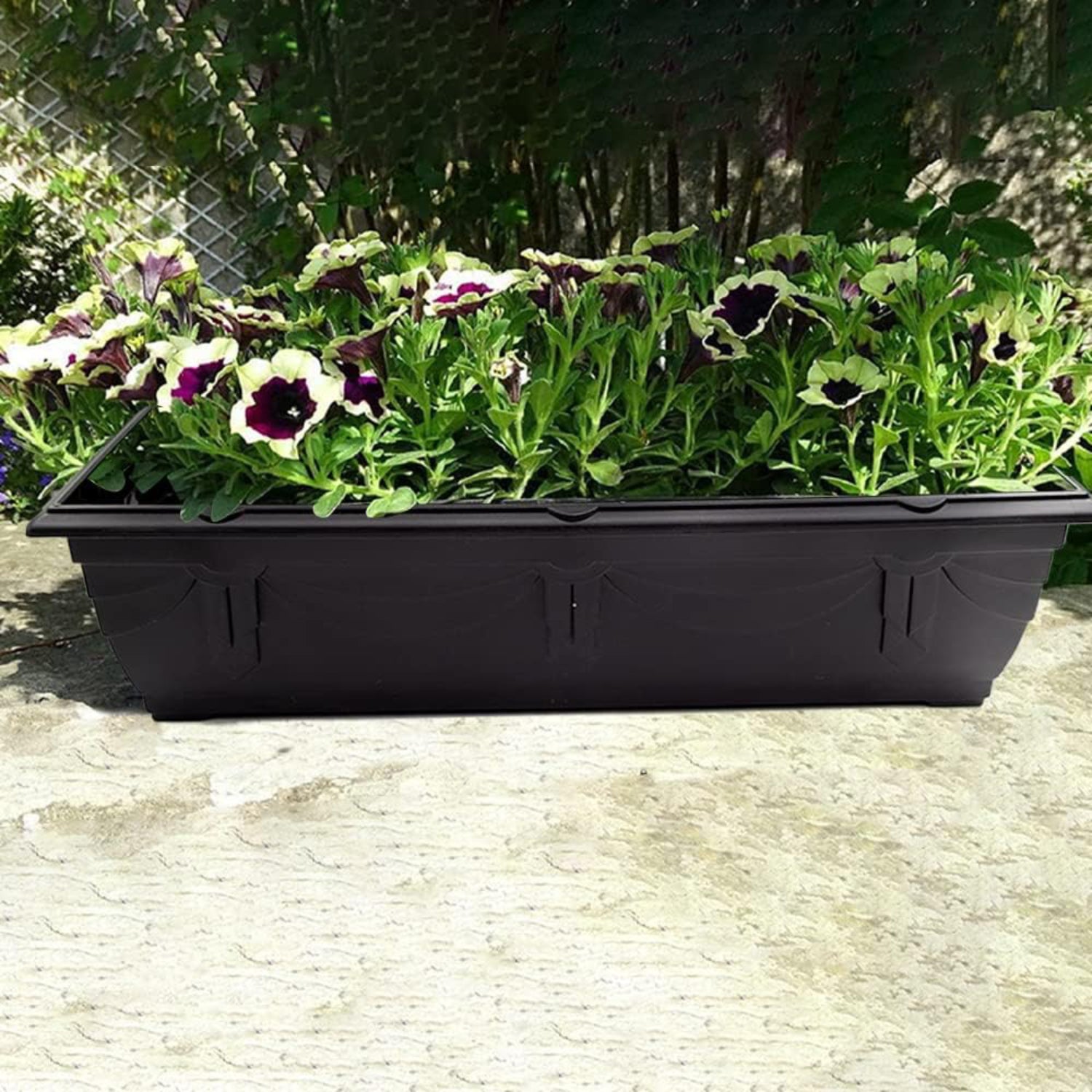 Venetian Window Box for Garden Plants