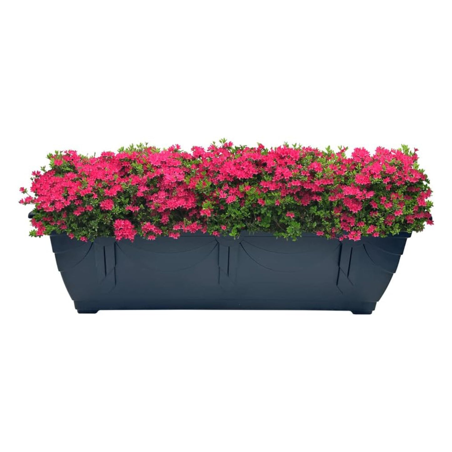 Venetian Window Box for Garden Plants