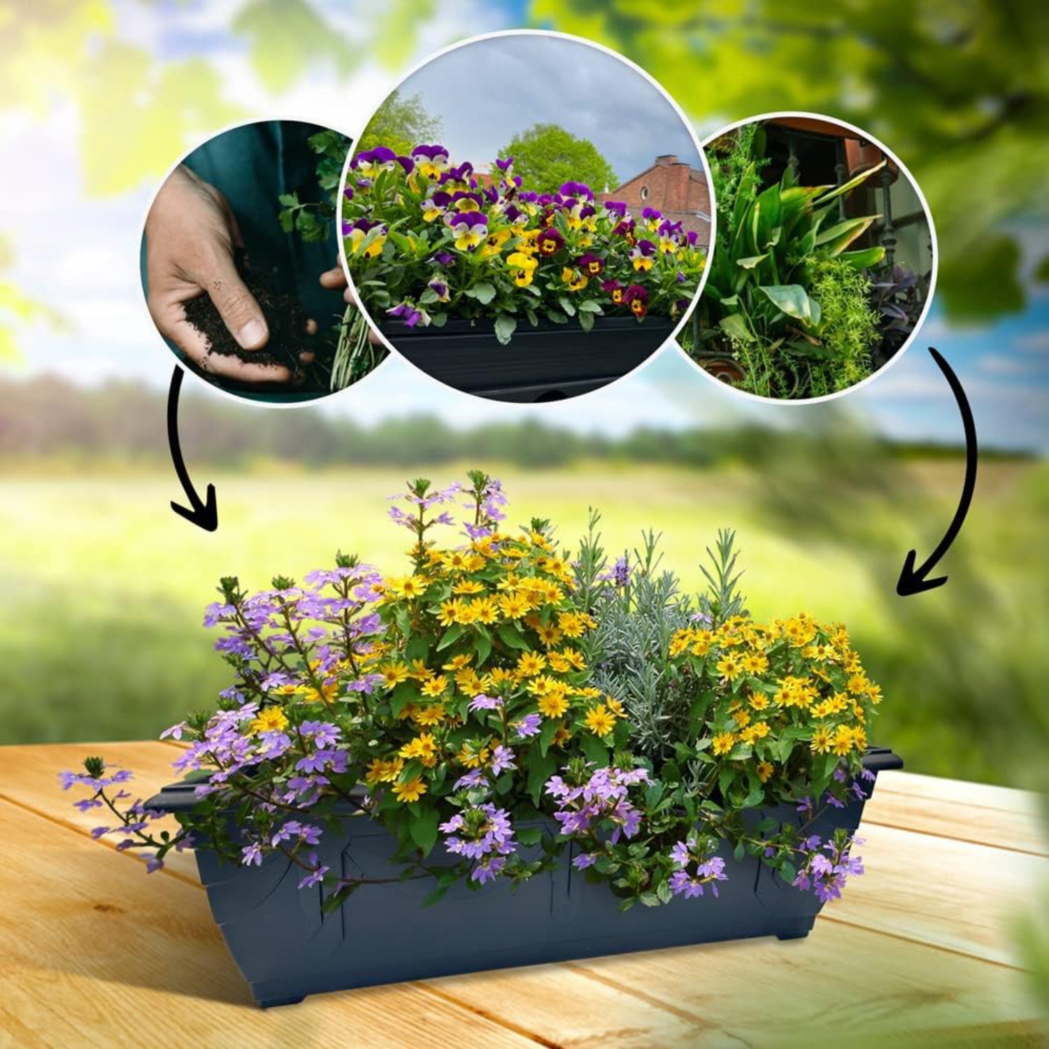 Venetian Window Box for Garden Plants