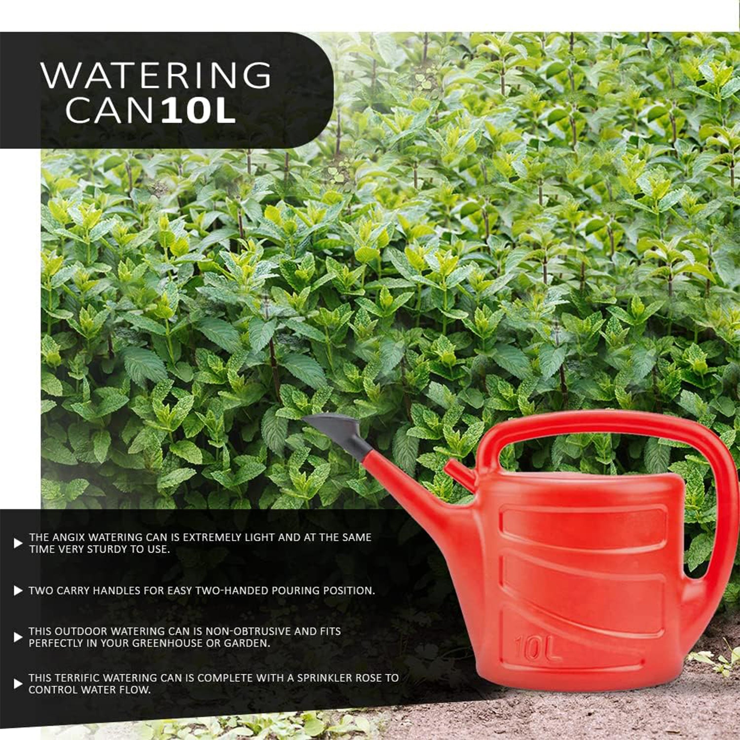 Watering Can With Detachable Rose Head Sprinkler