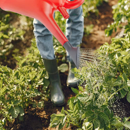 Watering Can With Detachable Rose Head Sprinkler