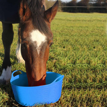 Shallow Tub With Double Handles - 15Ltr, sky blue
