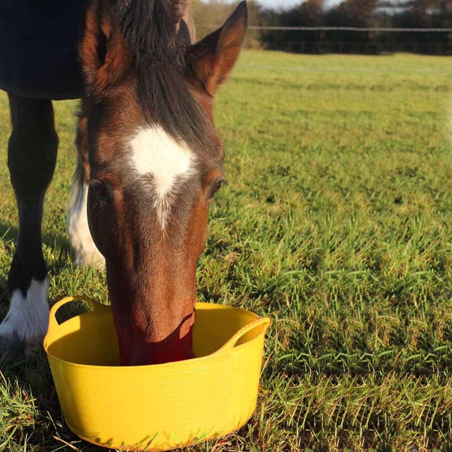 Shallow Tub With Double Handles - 15Ltr, Yellow